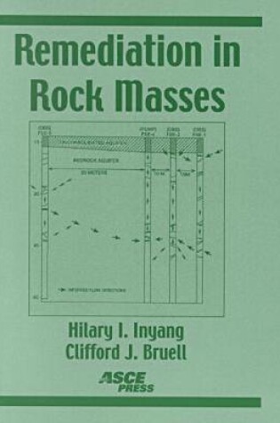 Cover of Remediation in Rock Masses