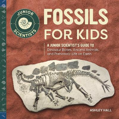 Book cover for Fossils for Kids