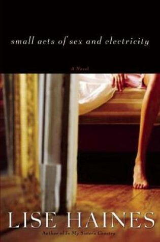Cover of Small Acts of Sex and Electricity