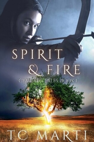 Cover of Spirit and Fire