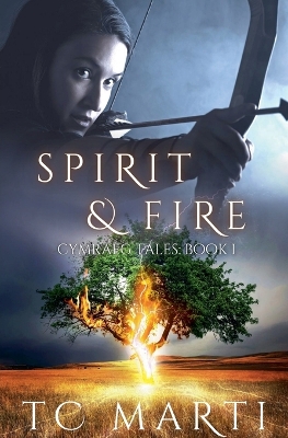 Book cover for Spirit and Fire