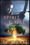 Book cover for Spirit and Fire