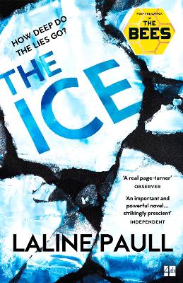 Book cover for The Ice