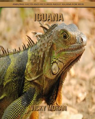 Book cover for Iguana