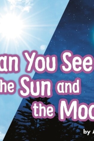 Cover of Can You See the Sun and the Moon?