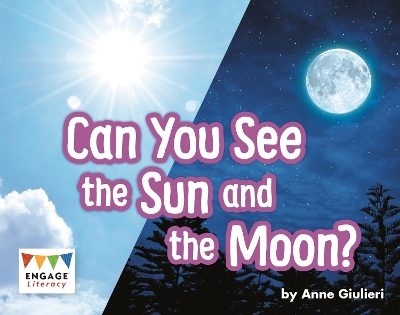 Cover of Can You See the Sun and the Moon?