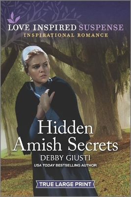 Book cover for Hidden Amish Secrets