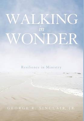 Book cover for Walking in Wonder