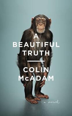 Book cover for A Beautiful Truth