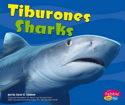 Cover of Tiburones / Sharks