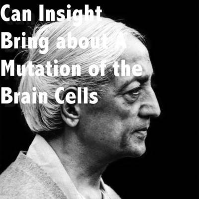 Book cover for Can Insight Bring About a Mutation of the Brain Cells