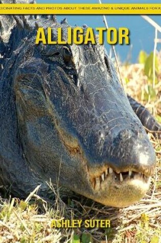 Cover of Alligator