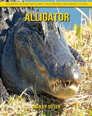 Book cover for Alligator