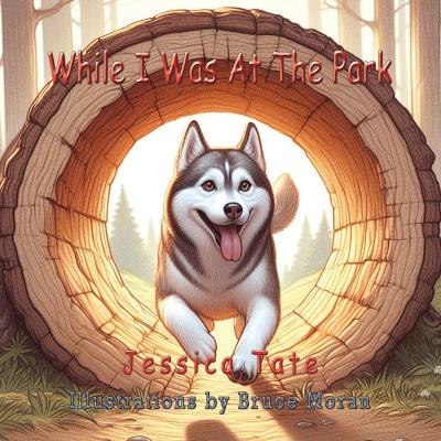 Cover of While I Was At The Park...