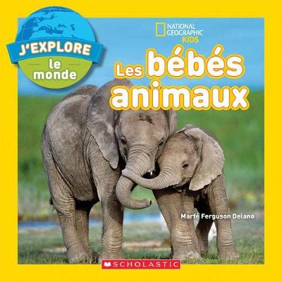 Book cover for National Geographic Kids: j'Explore Le Monde: Les B�b�s Animaux