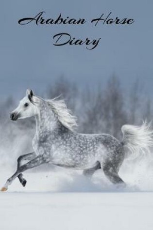 Cover of Arabian Horse Life