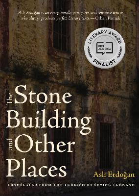 Book cover for The Stone Building and Other Places