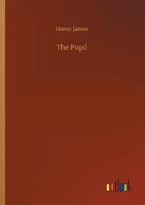 Book cover for The Pupil