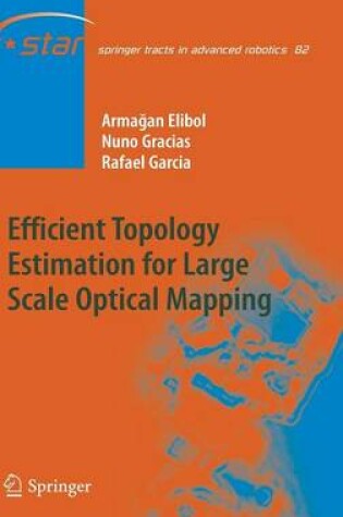 Cover of Efficient Topology Estimation for Large Scale Optical Mapping