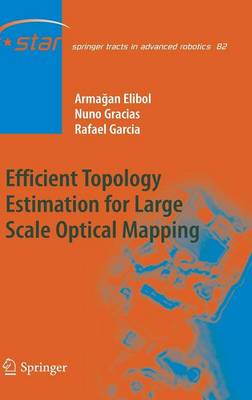 Cover of Efficient Topology Estimation for Large Scale Optical Mapping