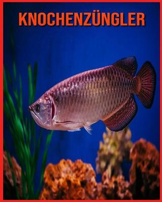 Book cover for Knochenzüngler