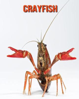 Book cover for Crayfish