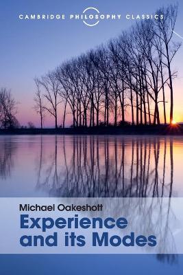 Book cover for Experience and its Modes