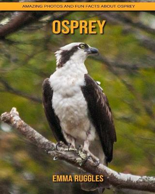 Book cover for Osprey