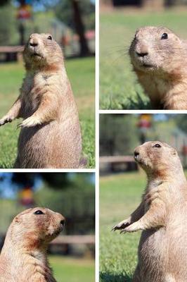 Book cover for The Prairie Dog Bunch Journal