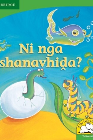 Cover of Ni nga shanavhida? (Tshivenda)