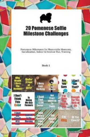 Cover of 20 Pomenese Selfie Milestone Challenges