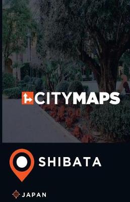 Book cover for City Maps Shibata Japan