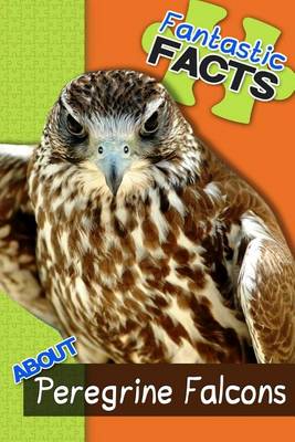 Book cover for Fantastic Facts about Peregrine Falcons