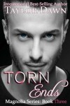 Book cover for Torn Ends