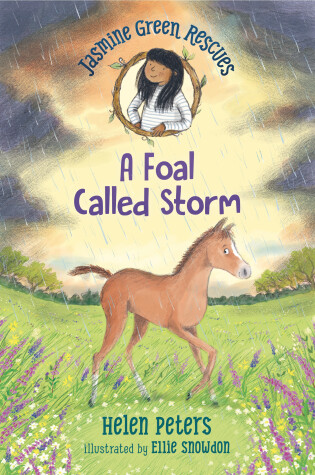 Cover of Jasmine Green Rescues: A Foal Called Storm