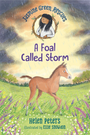 Cover of Jasmine Green Rescues: A Foal Called Storm