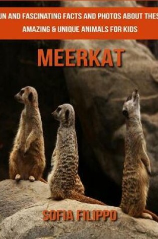 Cover of Meerkat