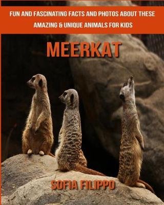 Book cover for Meerkat