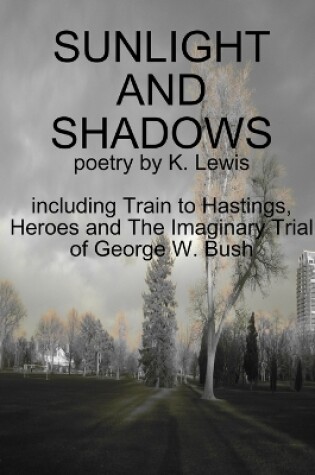 Cover of Sunlight and Shadows