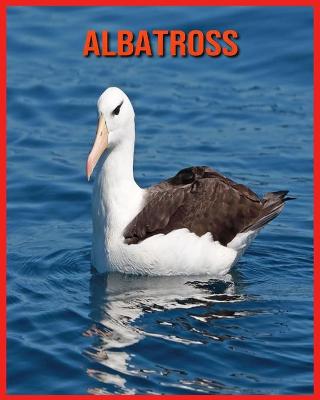 Book cover for Albatross