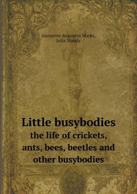 Book cover for Little busybodies the life of crickets, ants, bees, beetles and other busybodies