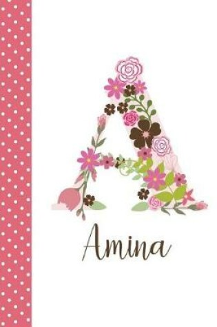 Cover of Amina