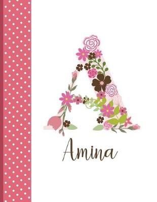 Book cover for Amina