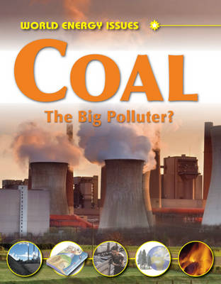 Book cover for Coal - The Big Polluter?