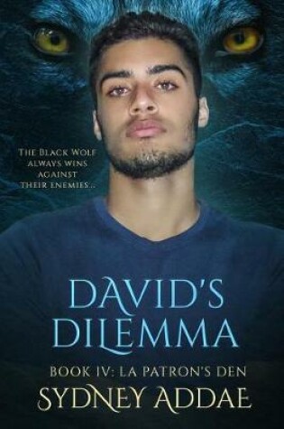 Cover of David's Dilemma