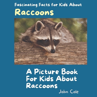 Book cover for A Picture Book for Kids About Raccoons