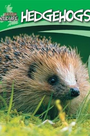 Cover of British Wildlife: Hedgehogs