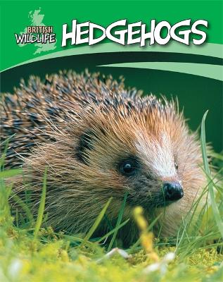 Book cover for British Wildlife: Hedgehogs