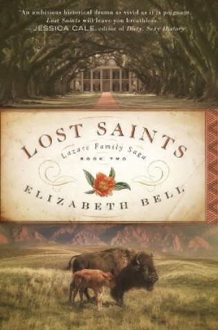 Cover of Lost Saints