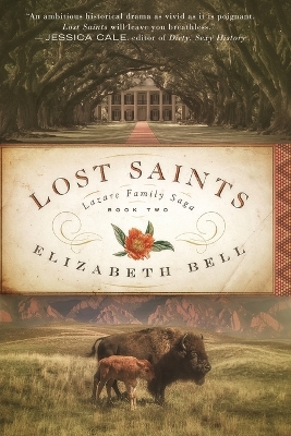 Book cover for Lost Saints
